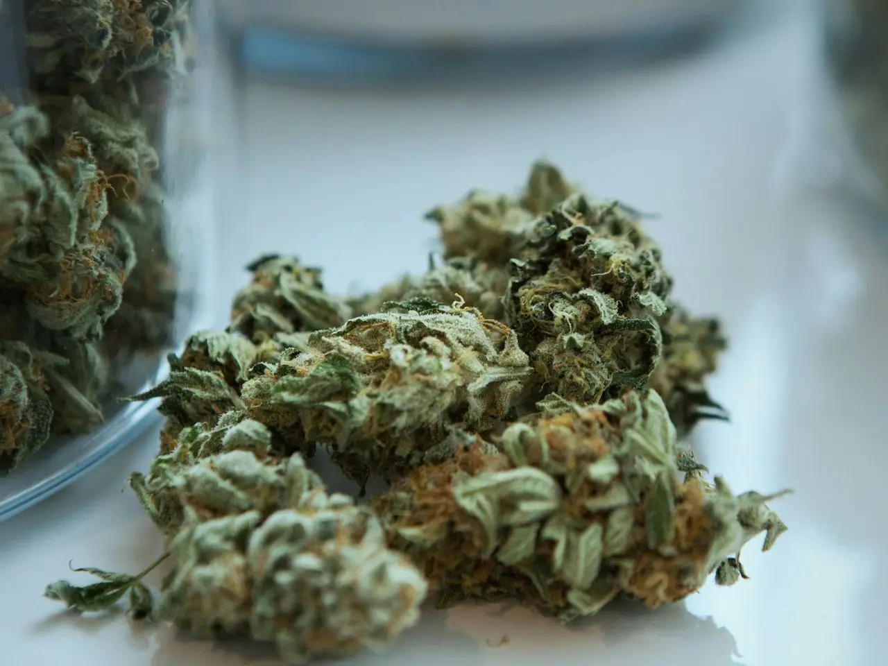 green kush beside jar