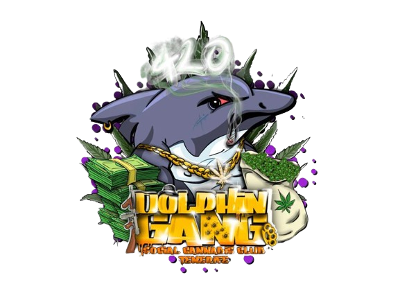Dolphin gang social club tenerife
